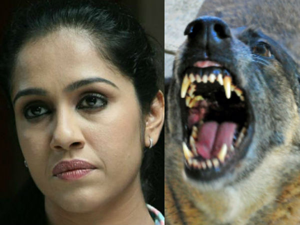 അനിമല് വെല്ഫെയര് ബോര്ഡ്