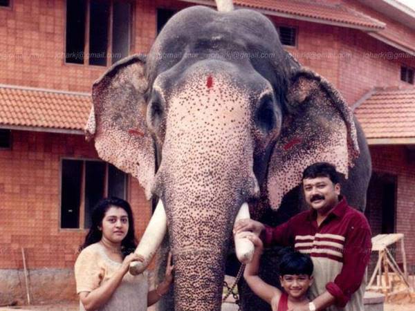 സിനിമയില്