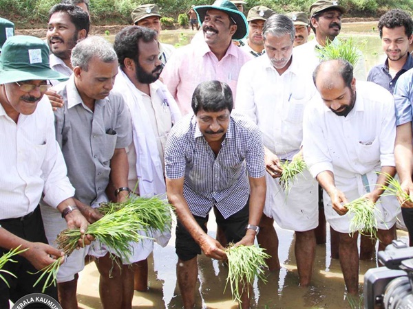 പച്ചക്കറിയിലെ വിഷാംശം