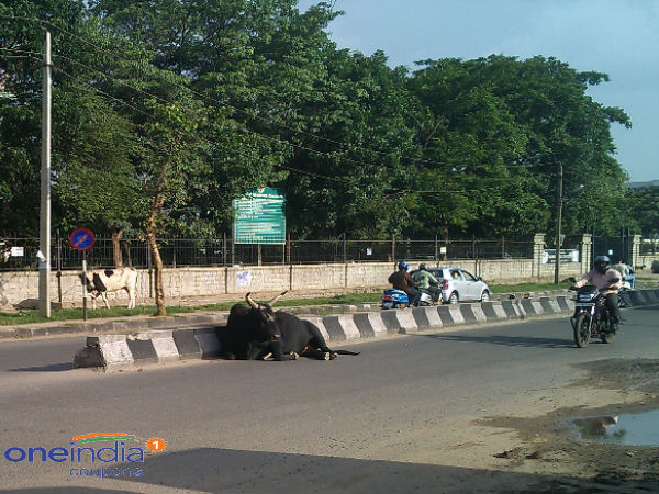 നിത്യസംഭവങ്ങള്