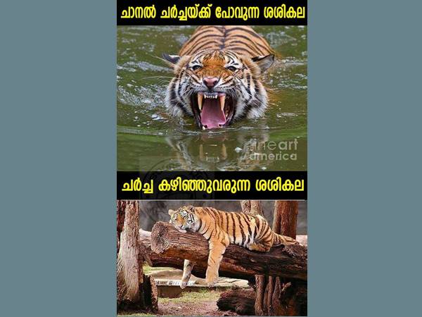 അപ്പോഴും പിന്നീടും