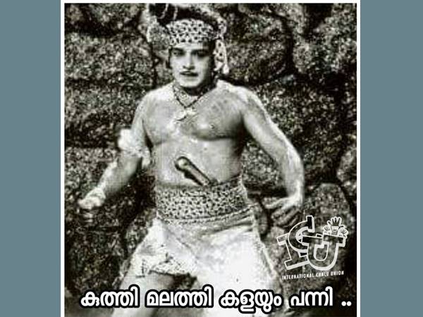 കുത്തിമലത്തിക്കളയും പന്നി