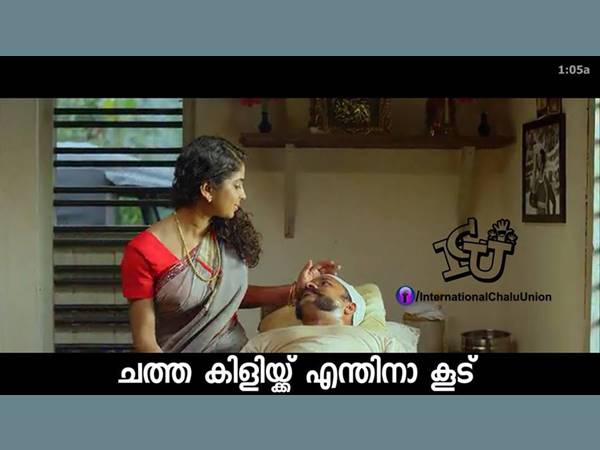ചത്ത കിളിയ്ക്കെന്തിനാ കൂട്...