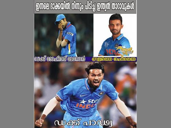 ഇന്ത്യന് താറാവുകള്