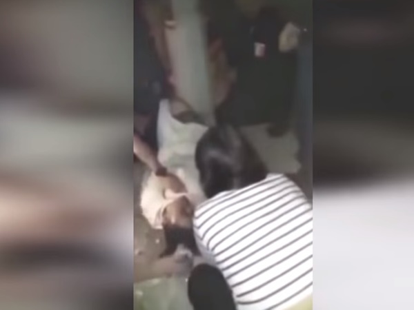 വാഹനങ്ങള് ഇല്ലാത്തപ്പോള്