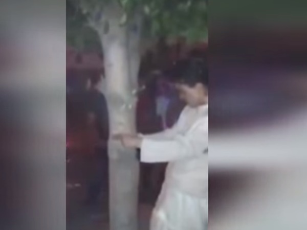 സോഫിയ