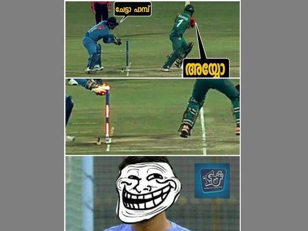 ചേട്ടാ പാമ്പ്