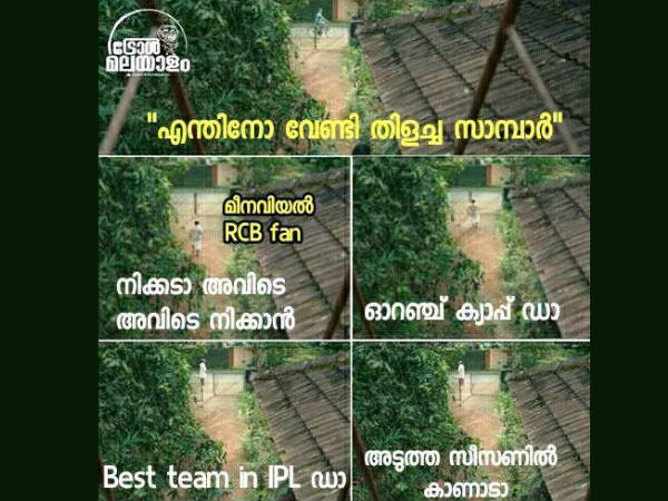 ആര്സിബി ഫാന്സ്