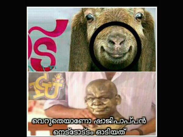 ആടിന്റെ കാര്യം