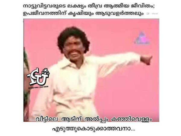 വീട്ടിലെ ആട്
