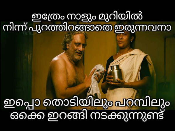 തൊടിയിലിറങ്ങിയത്