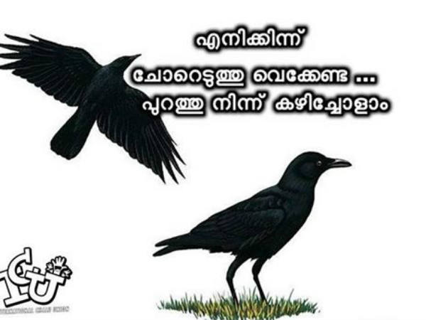 പുറത്തൂന്ന് കഴിയ്ക്കും