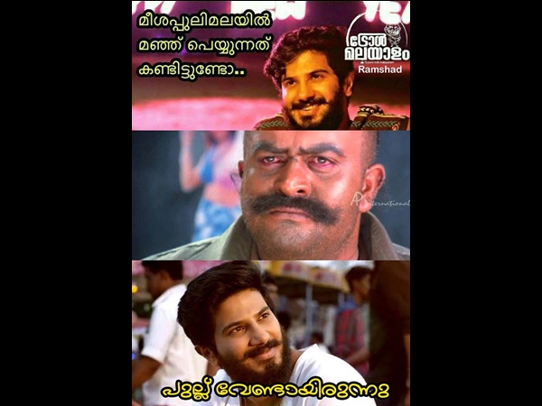 പുല്ല് വേണ്ടായിരുന്നു