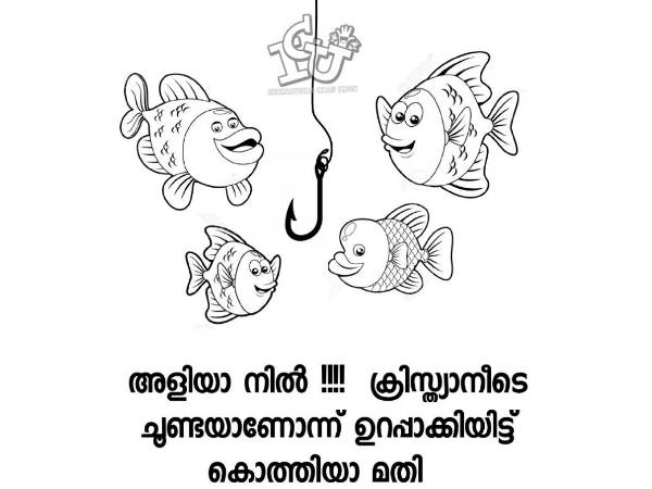 അളിയാ നില്
