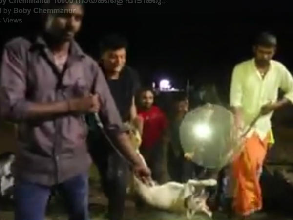 കൊല്ലാനല്ല