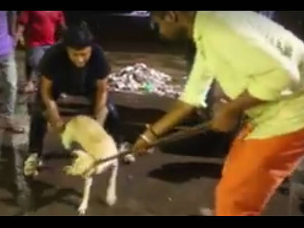 കൈയ്യില് ഗ്ലൗസ്
