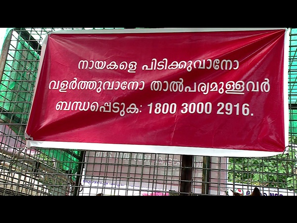 വളര്ത്താന് കൊടുക്കും