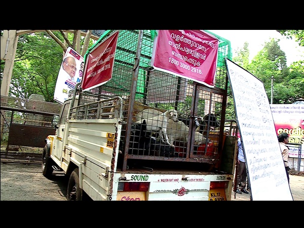 എല്ലാ ജില്ലകളിലും