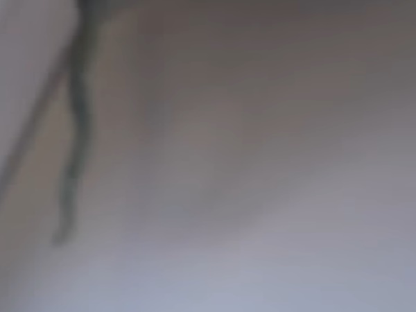 സംരക്ഷിച്ചു