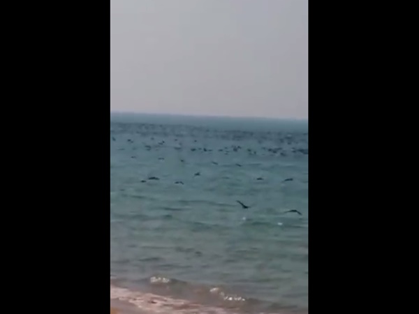 എന്താണ് കാരണം