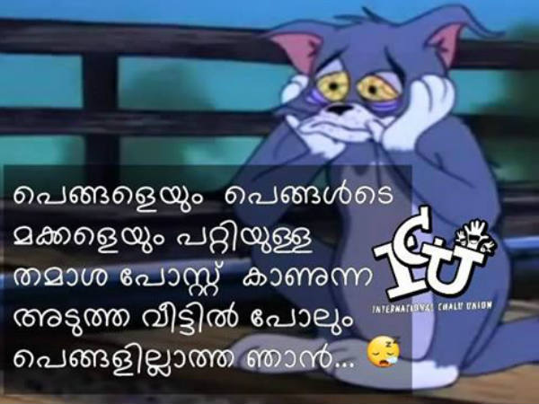പെങ്ങളുടെ മോന്