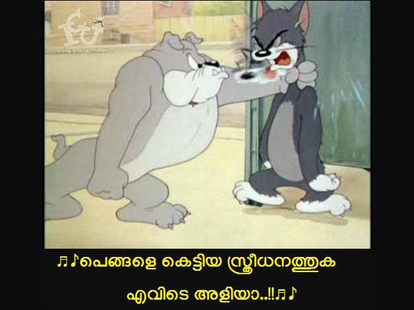 പെങ്ങള്ടെ മോന് മാത്രമല്ല