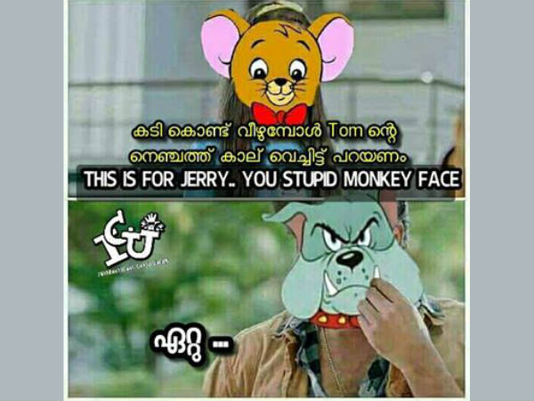 പൂമ്പാറ്റ