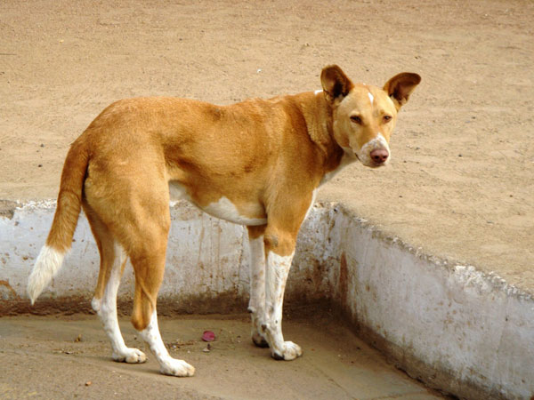 ബാക്കി ചികിത്സ കേരളത്തില് വന്ന ശേഷം