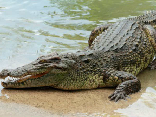 ഉദ്യോഗസ്ഥര്