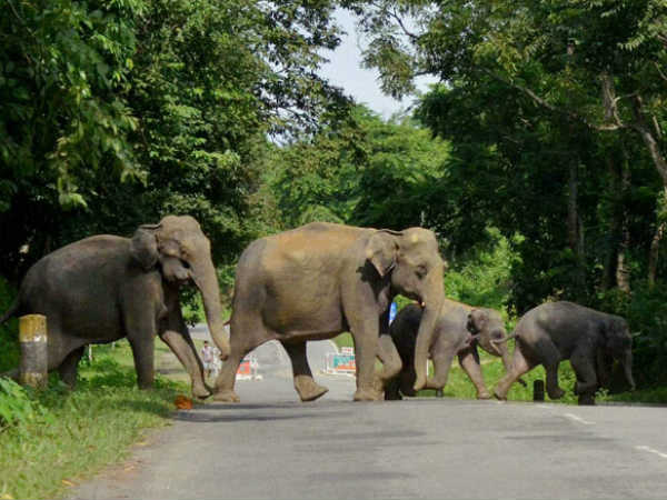 രക്ഷപ്പെടാനുള്ള ശ്രമത്തില് വെടിയേറ്റു