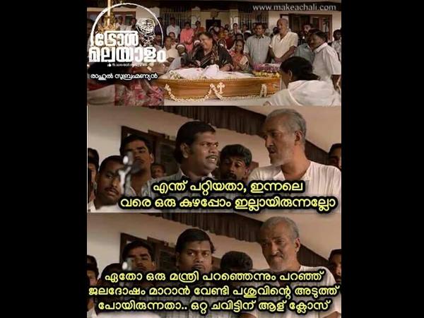 പശു ഒരു ചവിട്ട്