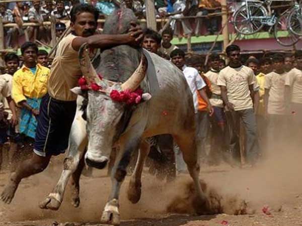 പ്രമുഖരുടെ പിന്തുണ
