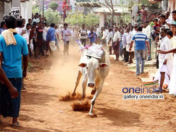 പിടികൂടിയവരുടെ മോചനം
