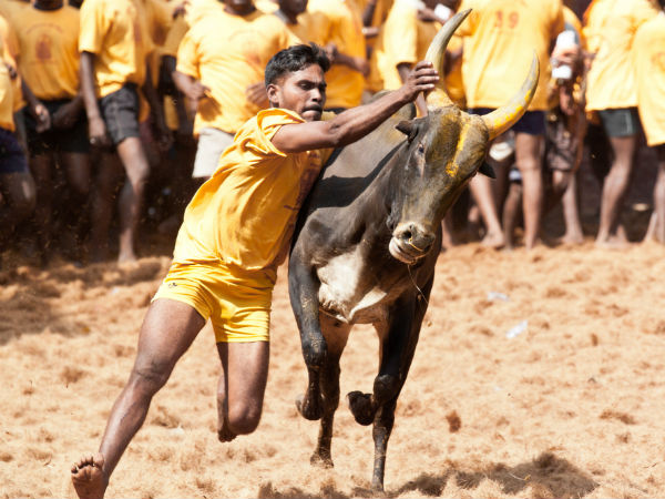 അമ്മയില്ലാത്ത സർക്കാർ