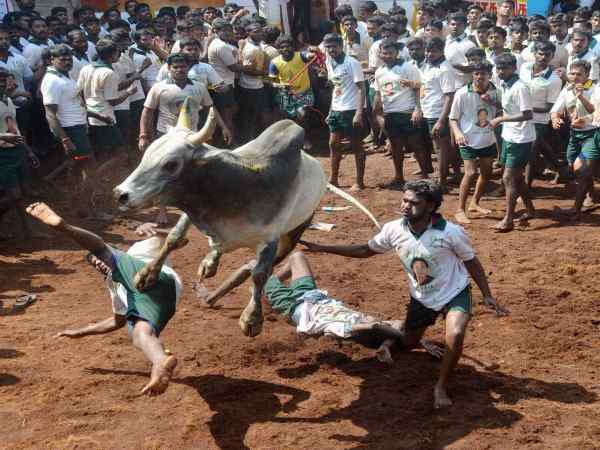 സുപ്രീം കോടതി വിധിയില്