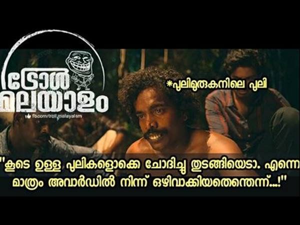 കാട്ടിലും രക്ഷയില്ല