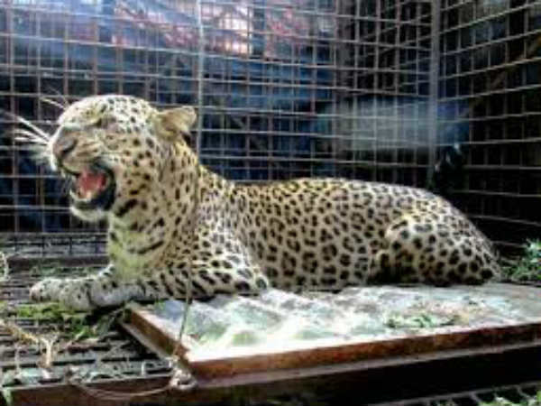 നിരോധനാജ്ഞ