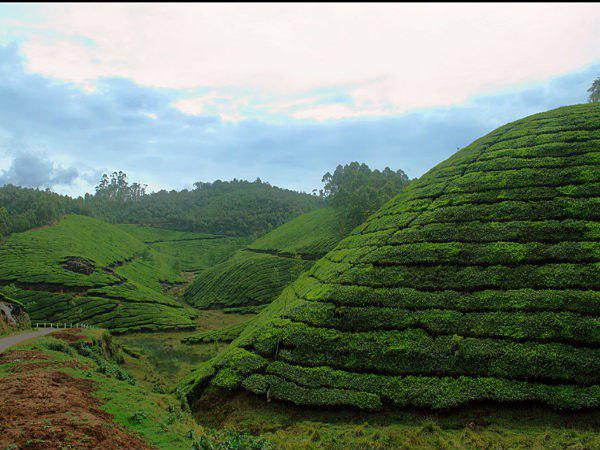 രാജേന്ദ്രന് എംഎല്എയുടെ ഭൂമി കൈയ്യേറ്റം