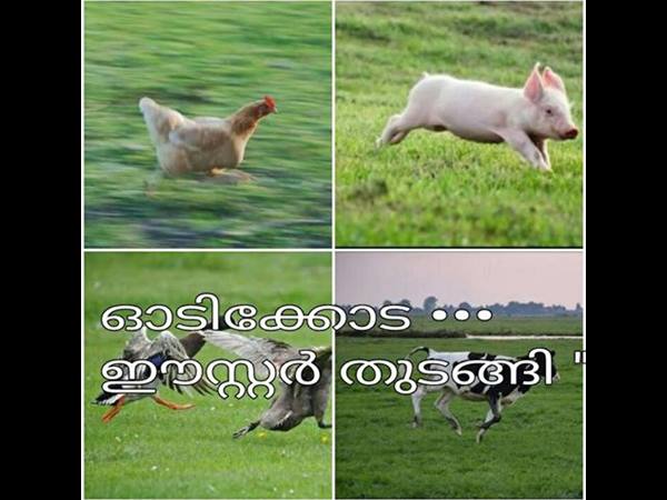 ഓടിക്കോടാ...