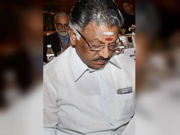 ഓപിഎസ് പാർട്ടിയെ നയിക്കും
