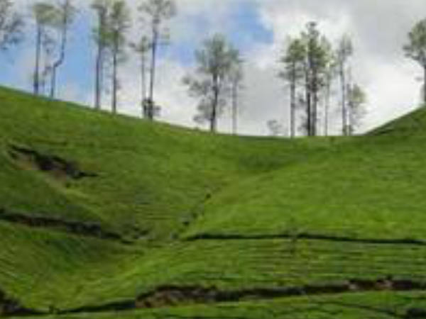 ചൗധരിയുടെ റിപ്പോര്ട്ട്...