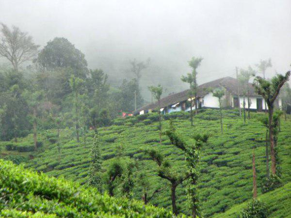ആരും ന്യായീകരിക്കുന്നില്ല