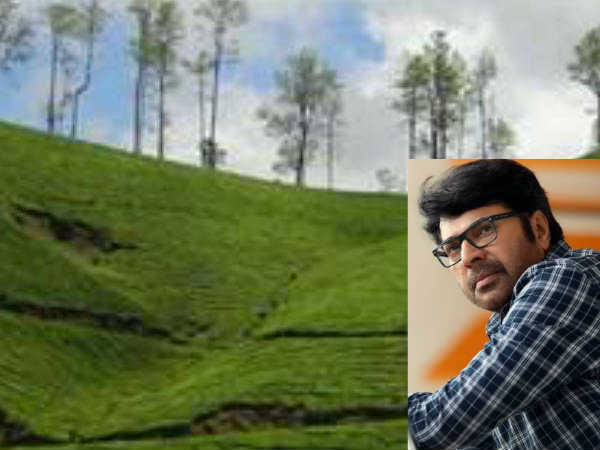 സോഷ്യൽ മീഡിയ പ്രചാരണം