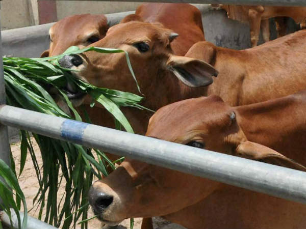 കച്ചവടം തെളിയിക്കുന്ന രേഖകള്