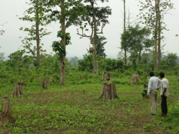 വിരുതനെ കണ്ടെത്താൻ...