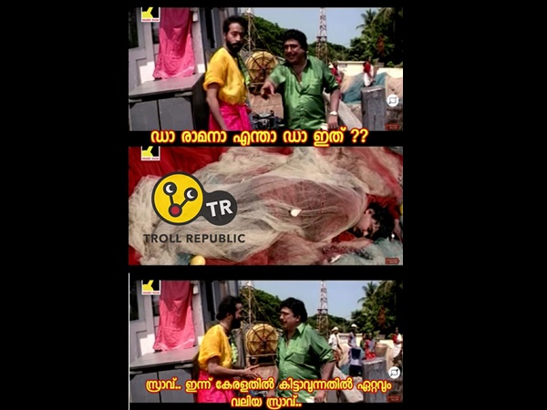 വലിയ സ്രാവ്