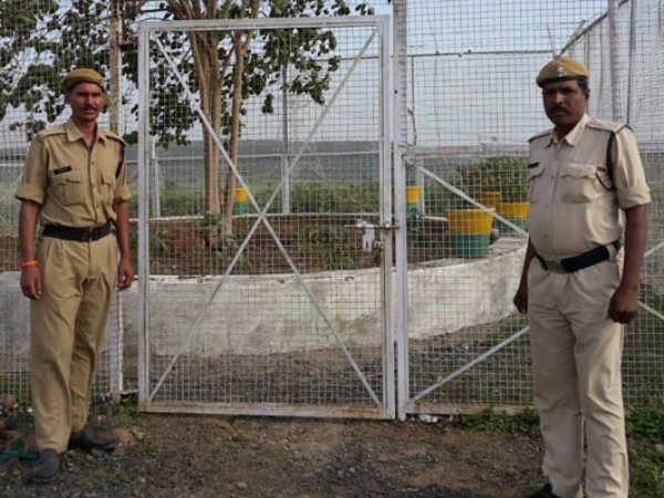 വൃക്ഷത്തിന്റെ പരിശോധനക്കായി സസ്യ ശസ്ത്രജ്ഞൻ