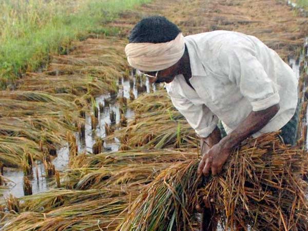 പാർട്ടി അംഗങ്ങൾ