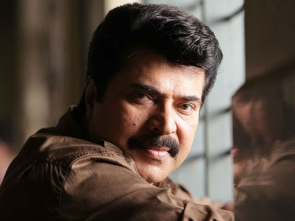 ജില്ലാ കോടതിയില് മമ്മൂട്ടി
