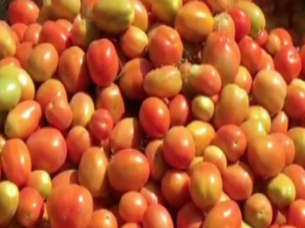 സർക്കാരിനെ ന്യായികരിക്കുന്നു